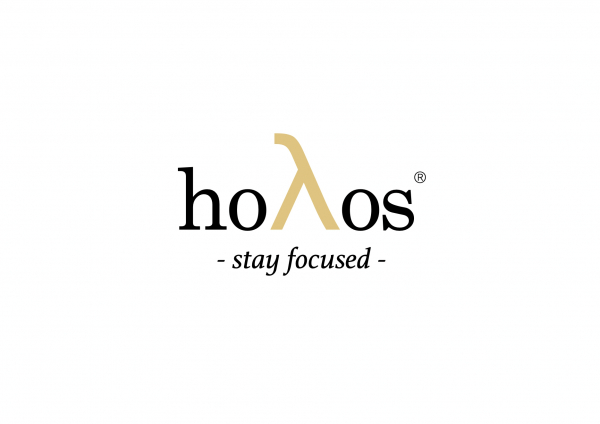 hoλos  - ein smartes System zur Reduzierung von Ablenkung am Steuer